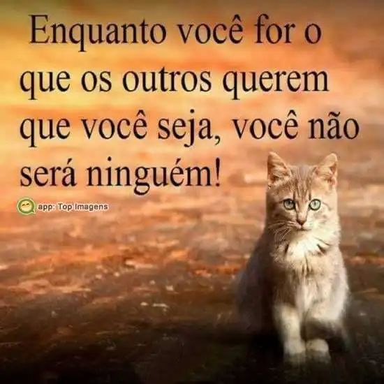 Ser o que outros querem