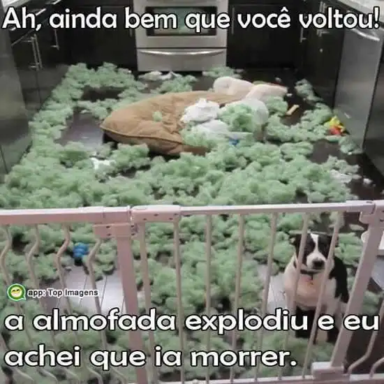 A almofada explodiu