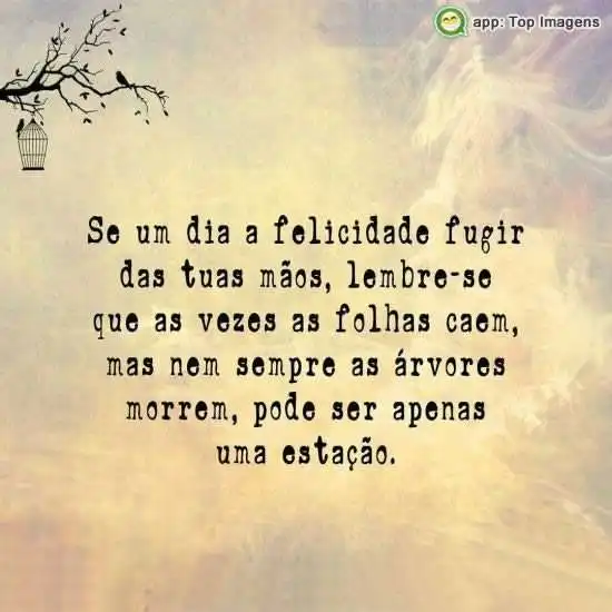 Apenas uma estação