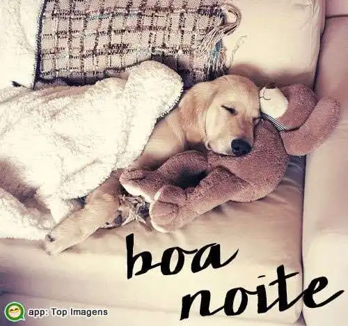 Boa noite