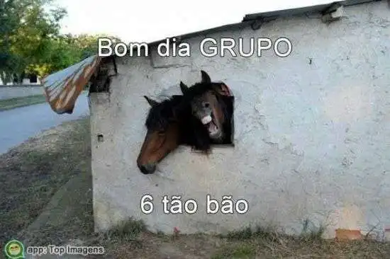 Bom dia grupo