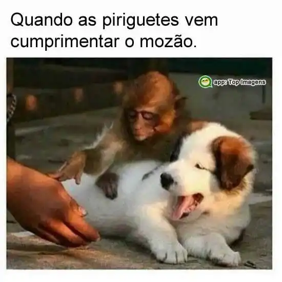 Comprimentando o mozão