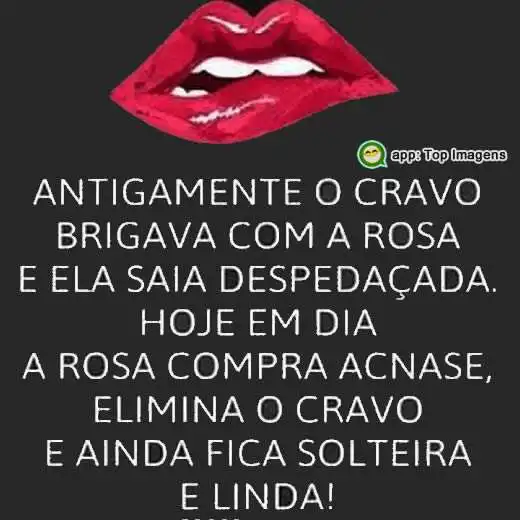 Cravo brigava com a rosa