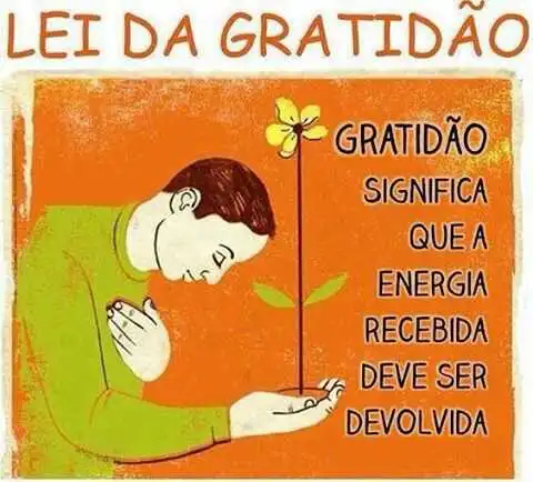 Lei da gratidão