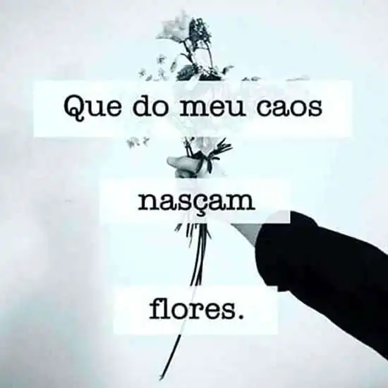 Nasçam flores