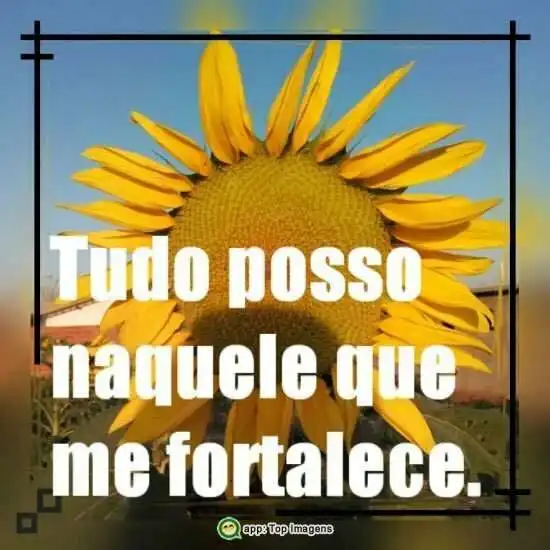 Tudo posso naquele que me fortalece
