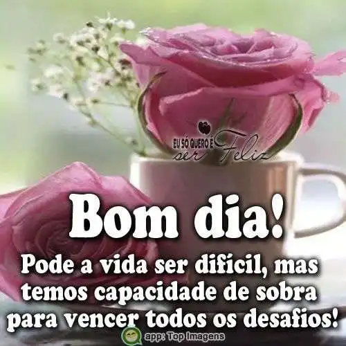 Vencer os obstáculos