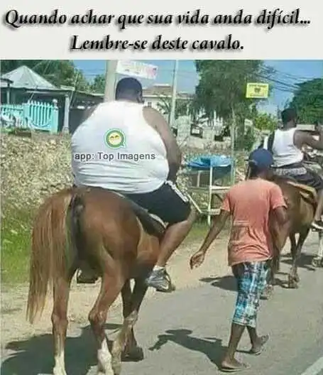 Vida difícil