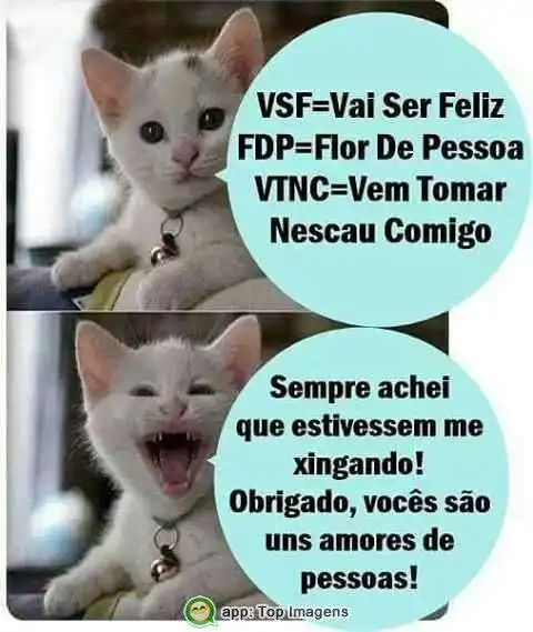 Vocês são uns amores