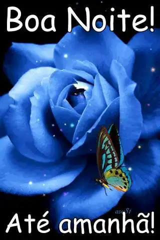 Boa noite, até amanhã