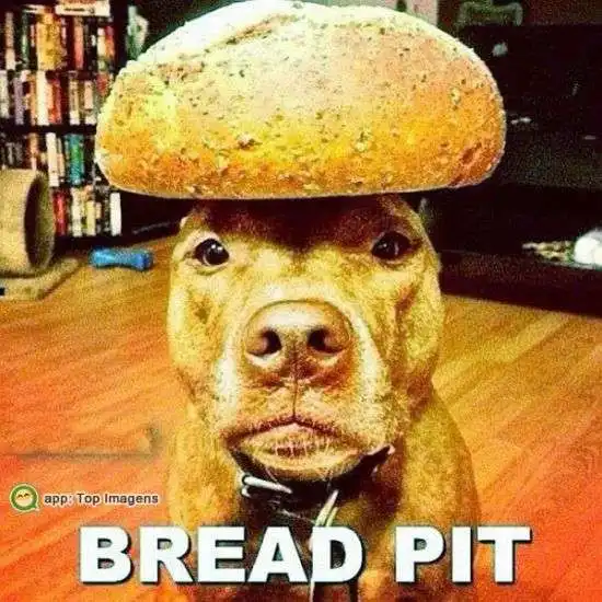 Bread pit
