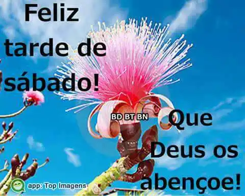 Feliz tarde de sábado