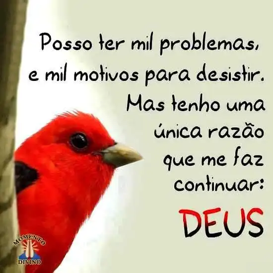 Mil motivos para desistir