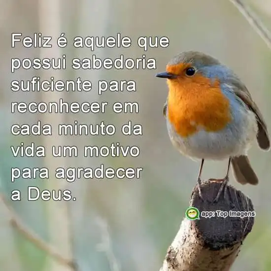 Motivo para agradecer