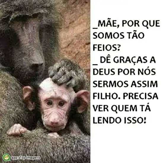 Porque somos tão feios