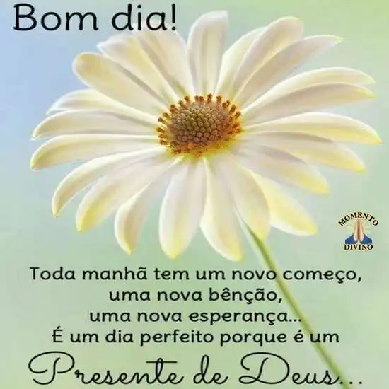 Presente de Deus