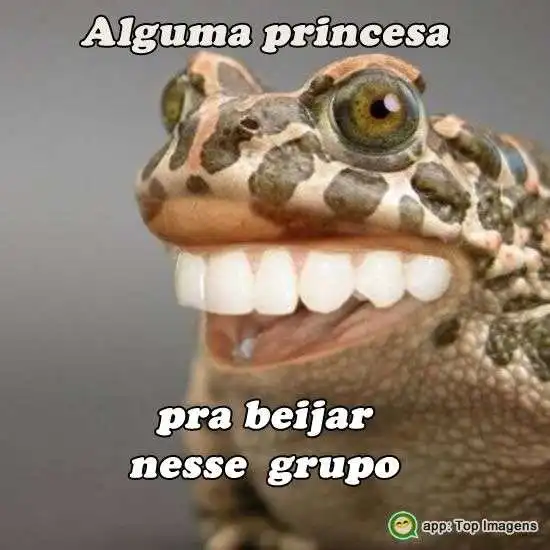 Princesa no grupo