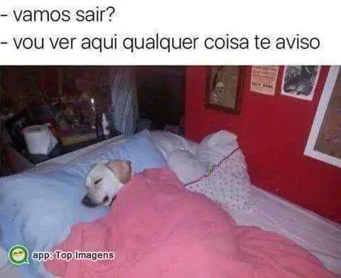 Qualquer coisa te aviso