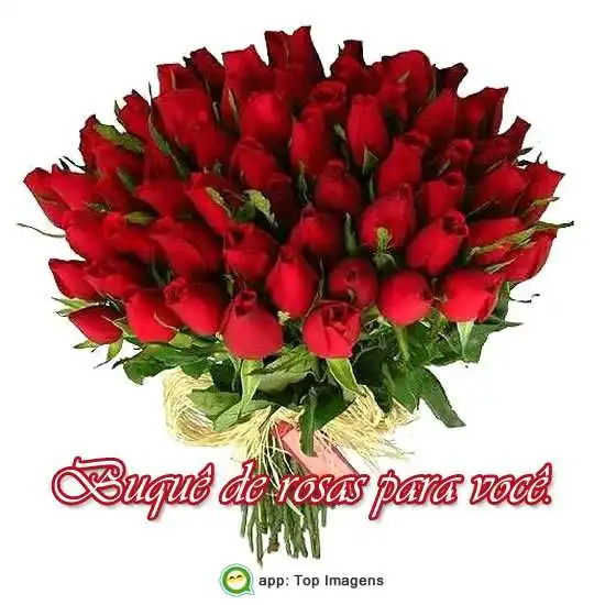 Rosas pra você