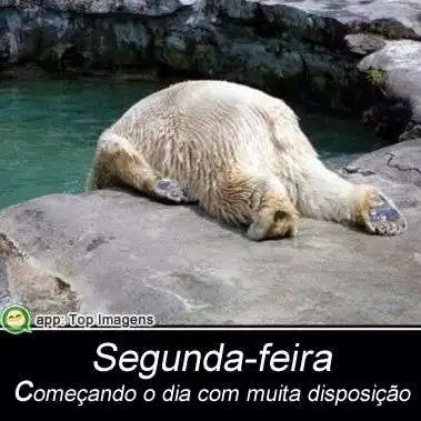 Segunda-feira com disposição