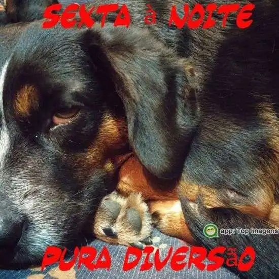 Sexta à noite