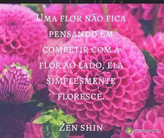 Simplesmente floresce