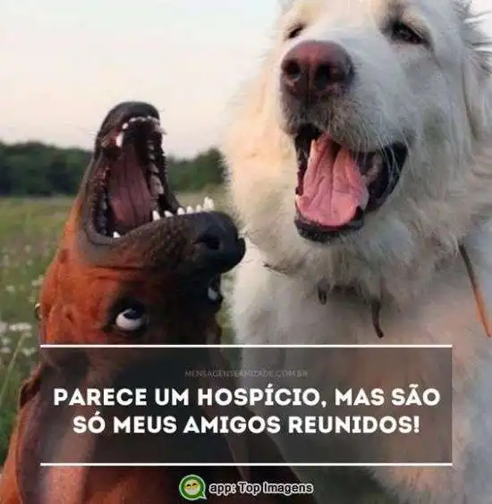 Só meus amigos