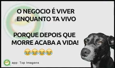Viver enquanto tá vivo