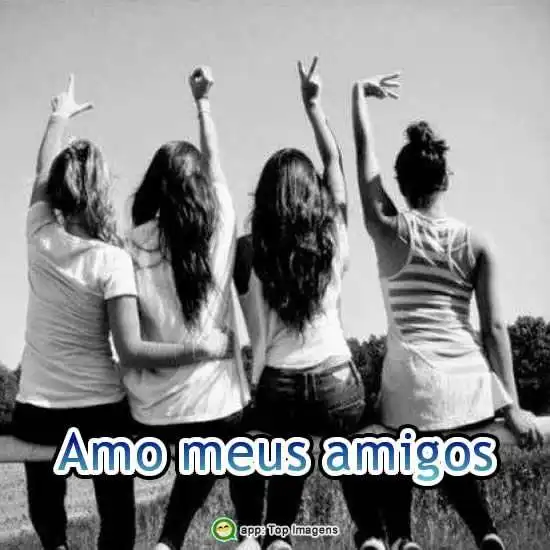 Amo meus amigos