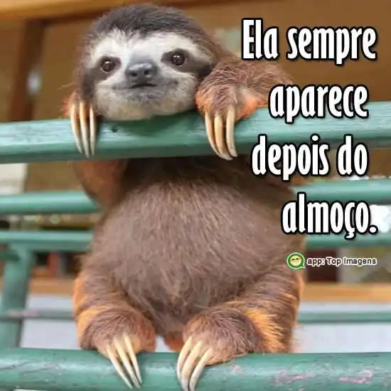 Aparece depois do almoço