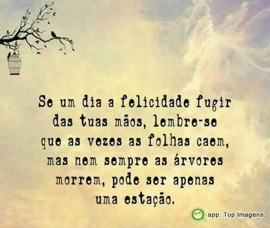 Apenas uma estação