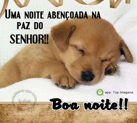 Boa noite