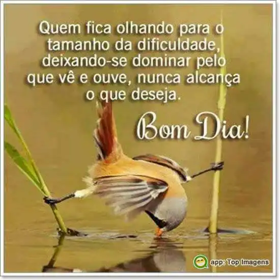 Bom dia