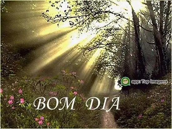 Bom dia