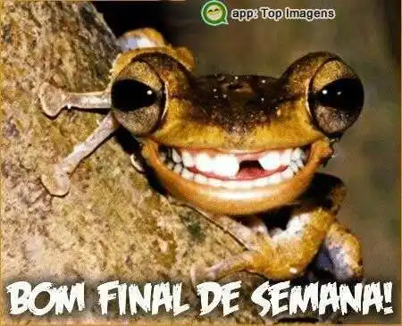 Bom fim de semana