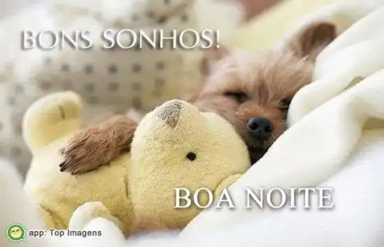 Bons sonhos