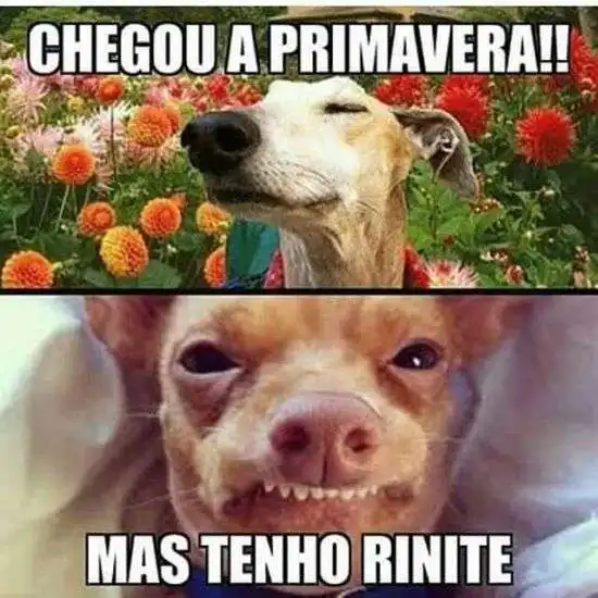 Chegou a primavera