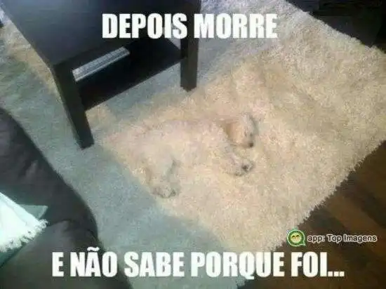 Depois morre