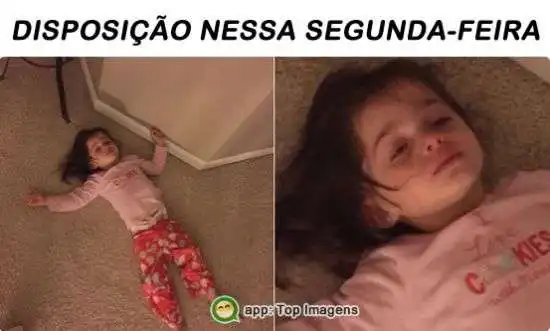 Disposição de segunda-feira