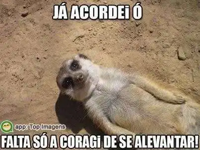 Falta coragem pra levantar