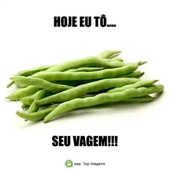 Hoje eu tô selvagem