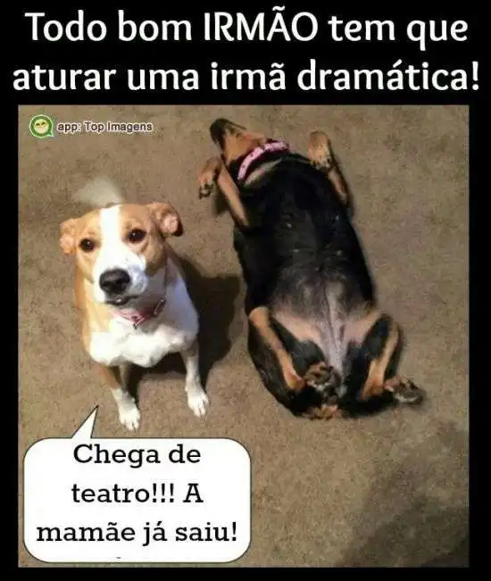Irmã dramática