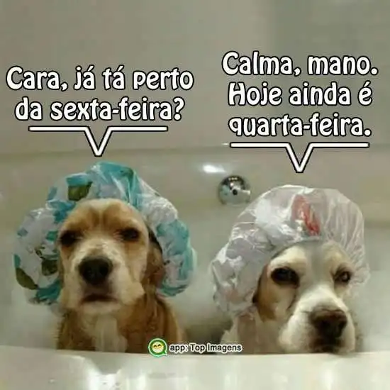 Já tá perto da sexta