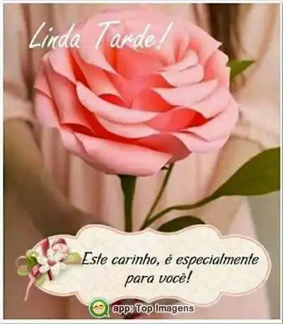 Linda tarde