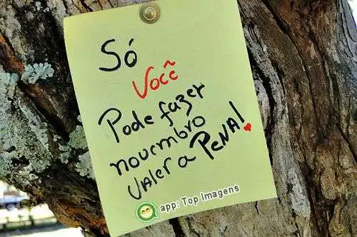 Novembro vai valer a pena