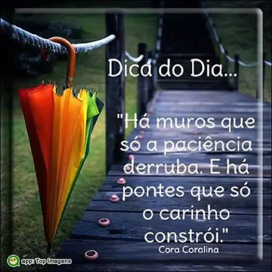 Paciência e carinho