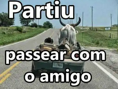 Passear com amigo