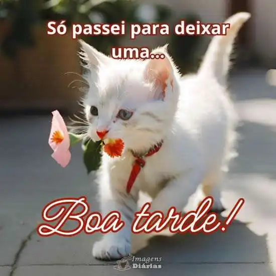 Passei para desejar boa tarde 