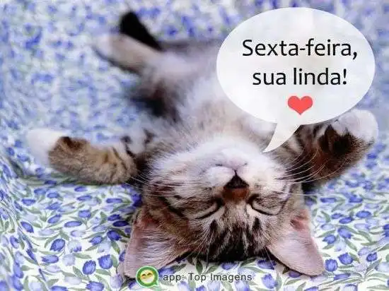 Sexta-feira sua linda