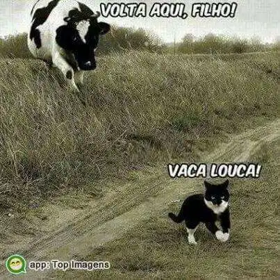 Vaca louca